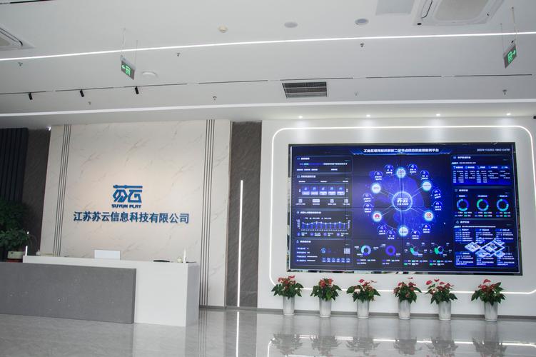 江苏苏云信息科技
